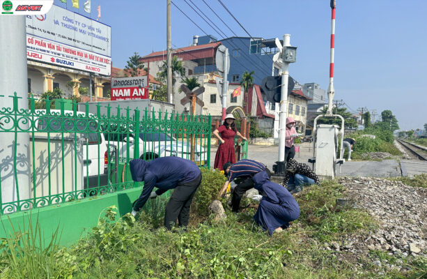 Đoàn Thanh niên An Việt chỉnh trang khuôn viên nhân dịp sinh nhật Công ty 26 tuổi.